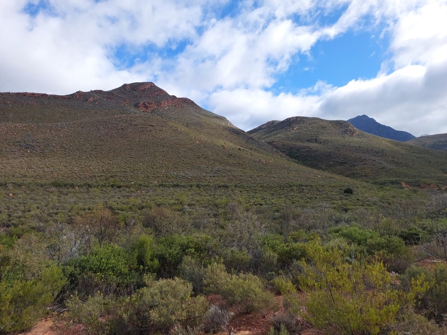 7 Bedroom Property for Sale in Ladismith Rural Western Cape